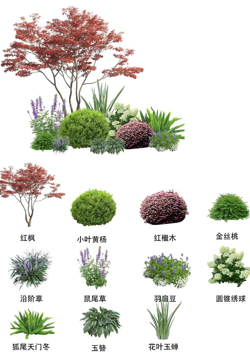 六、文化寓意说明
