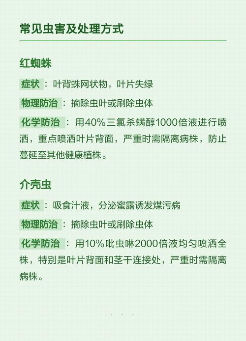 桂花树的叶子怎么会掉光?原因与补救措施全解析 五、环境变化与季节因素
