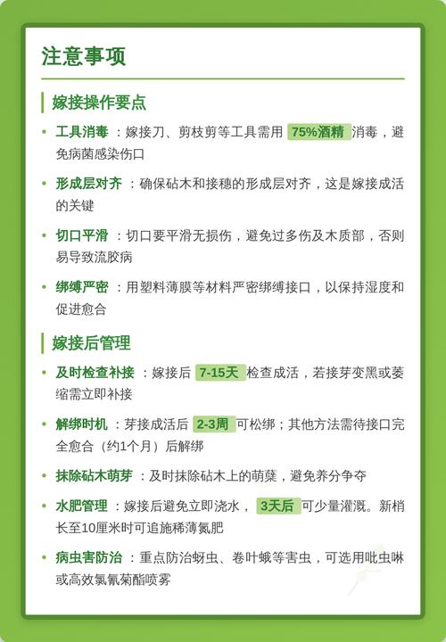 桃树砧木能嫁接什么树?权威指南:最佳亲和品种与操作要点 三、嫁接失败诊断与补救