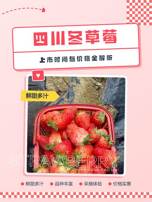 草莓价格行情分析:现在一斤多少钱?影响因素全解析 专属报价咨询指南