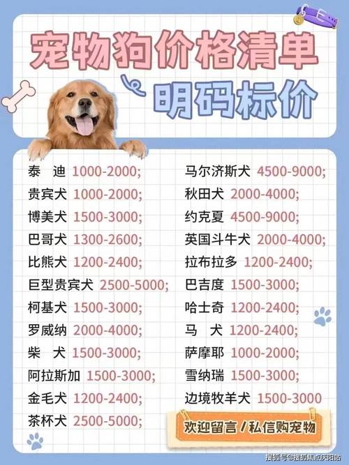 拉布拉多花卉价格:2026年市场参考区间与影响因素分析 运输方式与成本占比