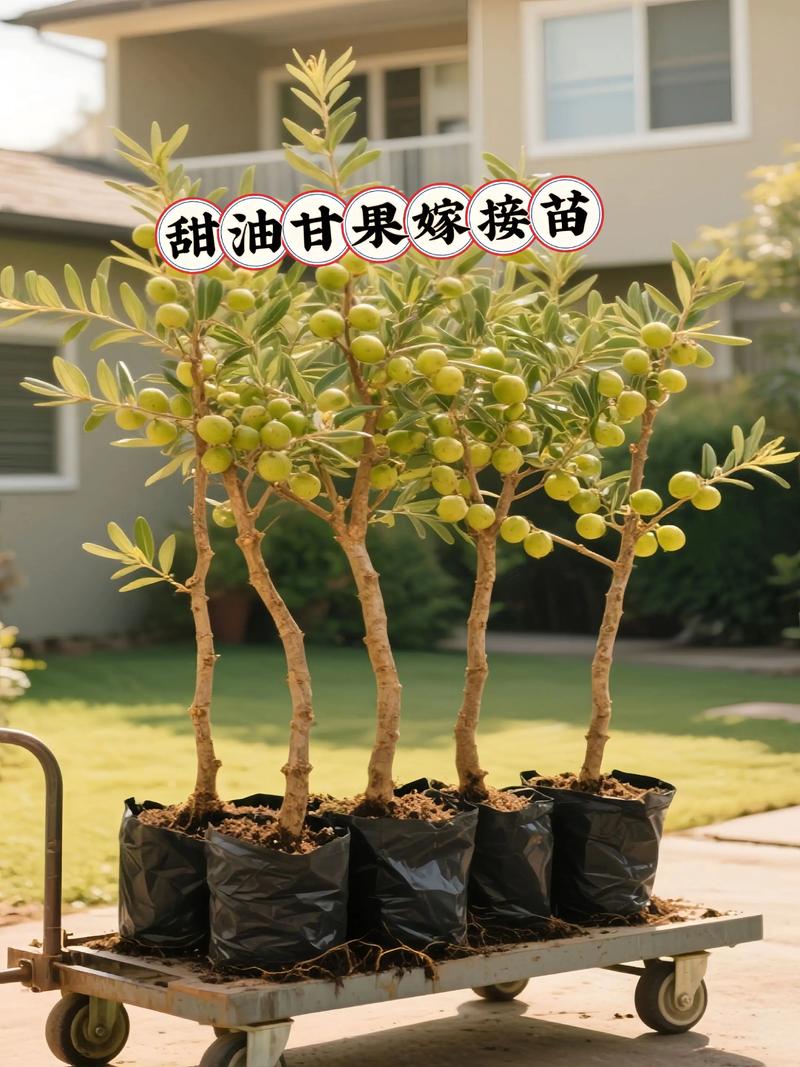 总结验证