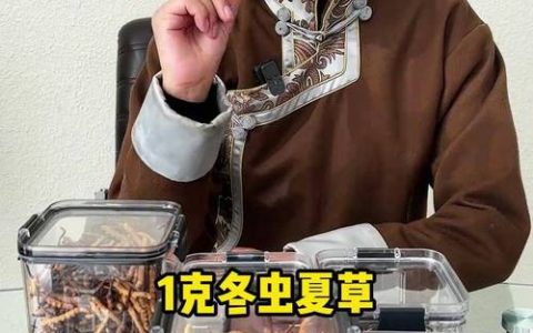 虫草一根多少钱？2025年冬虫夏草价格参考