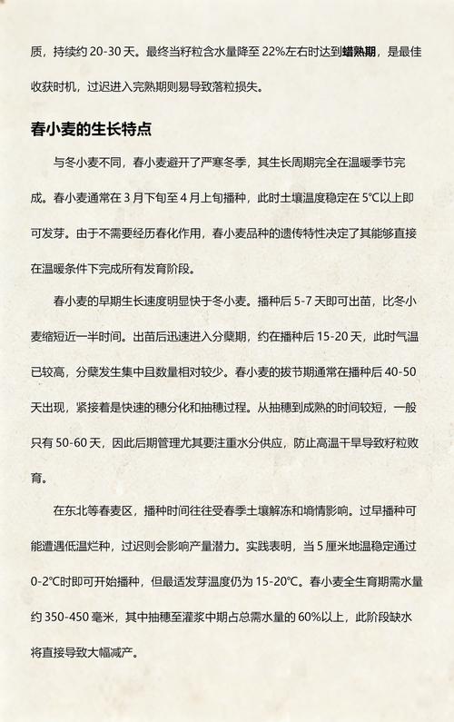 小麦的种子从哪里来?——从野生到餐桌的奇妙旅程 一、小麦的野生祖先