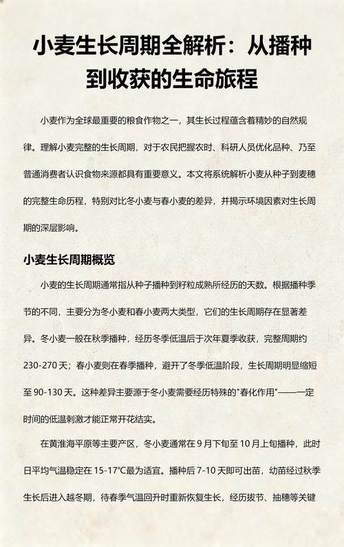 小麦的种子从哪里来?——从野生到餐桌的奇妙旅程 四、家庭种植小麦的种子选法