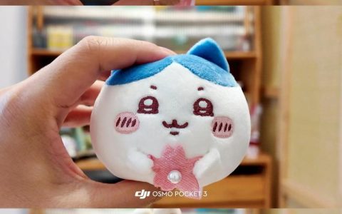 樱花大福是什么