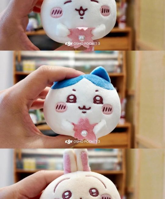 樱花大福是什么