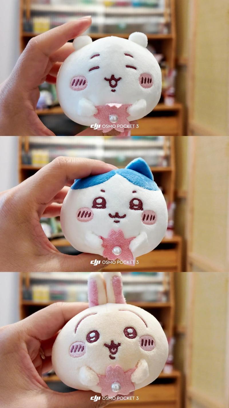 樱花大福是什么 樱花大福是什么