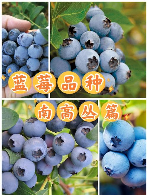 采购质量判断标准（2026年）