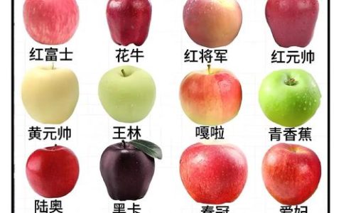 极早熟桃品种对比：春蜜、早凤王与中油桃哪个更适合阳台种植？