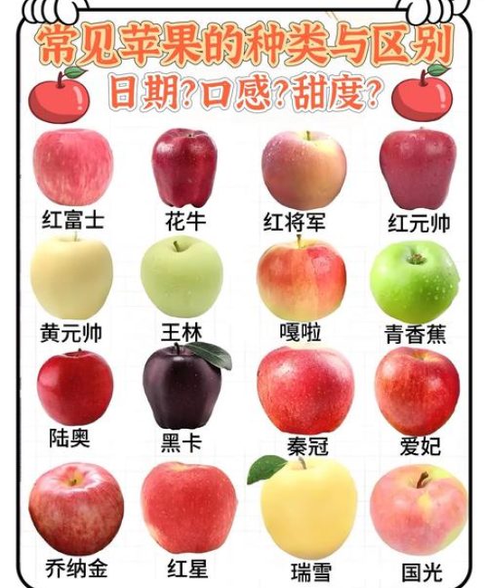 极早熟桃品种对比：春蜜、早凤王与中油桃哪个更适合阳台种植？