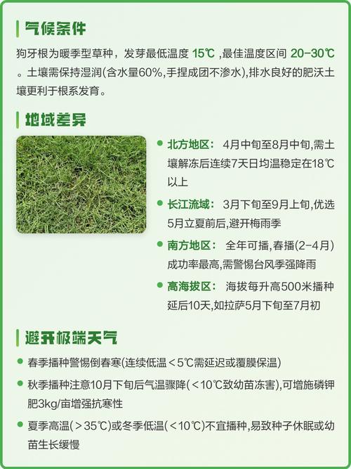 草籽播种季节完全指南:最佳时间与核心技巧 常见播种错误与解决方案