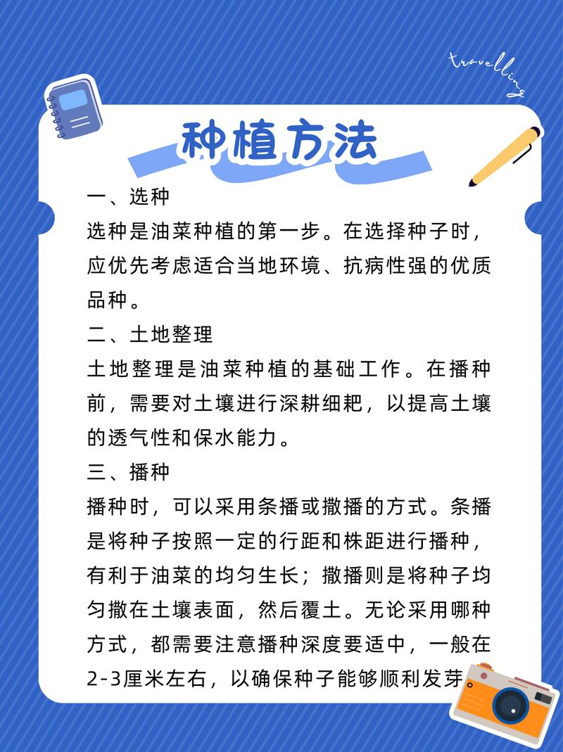 草籽播种季节完全指南:最佳时间与核心技巧 总结