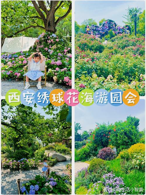 西安哪里有绣球花?本地采购渠道与供应商评估指南 越冬与越夏管理(评估供应商的本地适应建议)