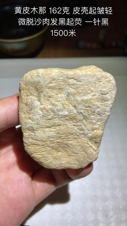 黄皮木那怎么样?庭院种植与养护全攻略 二、种植环境与土壤要求