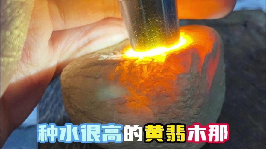 黄皮木那怎么样?庭院种植与养护全攻略 四、水肥管理:薄肥勤施、见干见湿