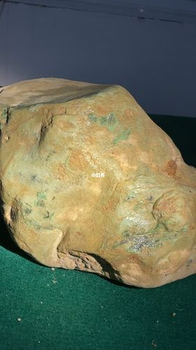 黄皮木那怎么样?庭院种植与养护全攻略 五、修剪与造型