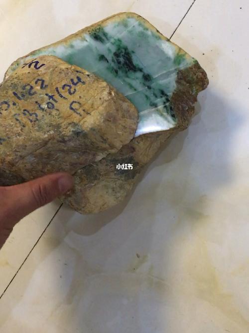 黄皮木那怎么样?庭院种植与养护全攻略 七、繁殖方法