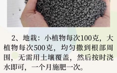 家庭养树必看：选对肥料加上科学管理，让树木蹭蹭长