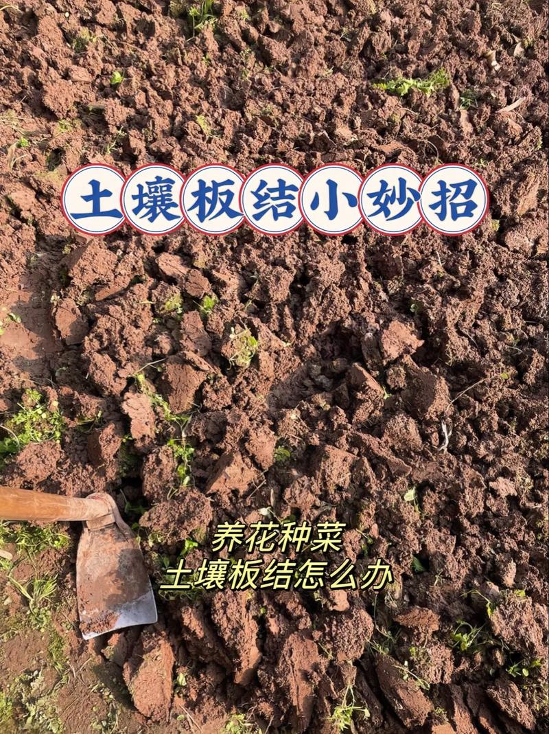 为什么长期施用化肥会导致土壤板结?园艺专家详解原因与对策 四、打破恶性循环:科学改良土壤的方法
