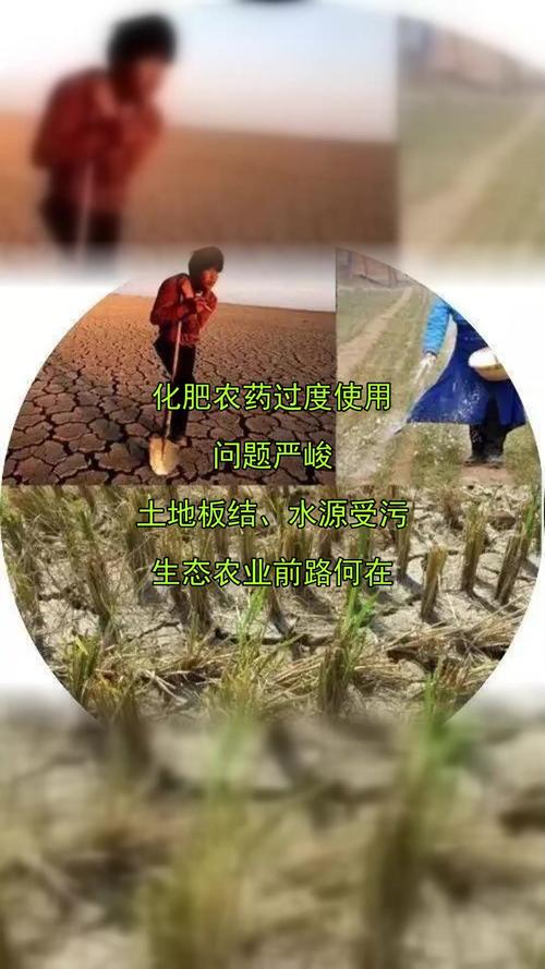 为什么长期施用化肥会导致土壤板结?园艺专家详解原因与对策 五、结语