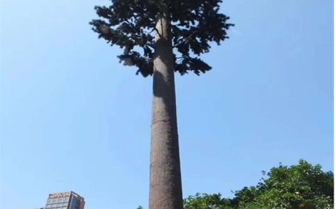 诚品苗圃仿真香樟树 | 高品质商业空间装饰绿植，多场景适用