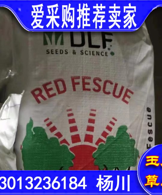 诚品苗圃万寿菊种子，高发芽率适合校园绿化与家庭园艺种植