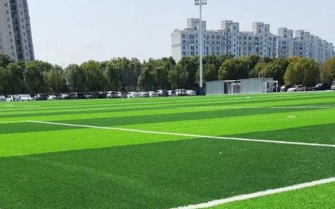 诚品苗圃 50mm加厚加密人工假草坪 运动场所仿真草皮