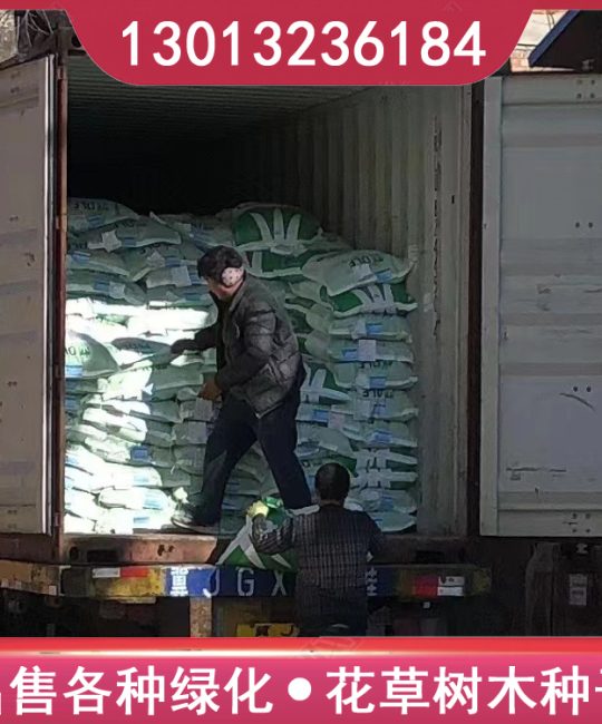 护坡混播种子施工方案：耐寒耐践踏工厂绿化专用