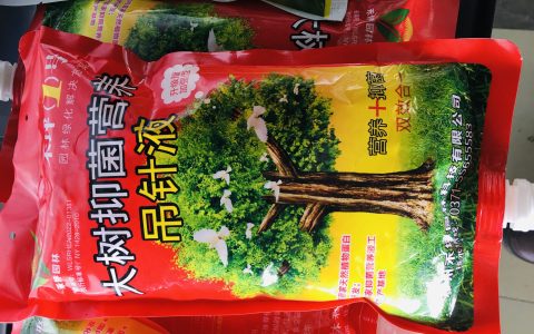 诚品苗圃景区观赏油菜花种子，颗粒饱满，适合花圃生产