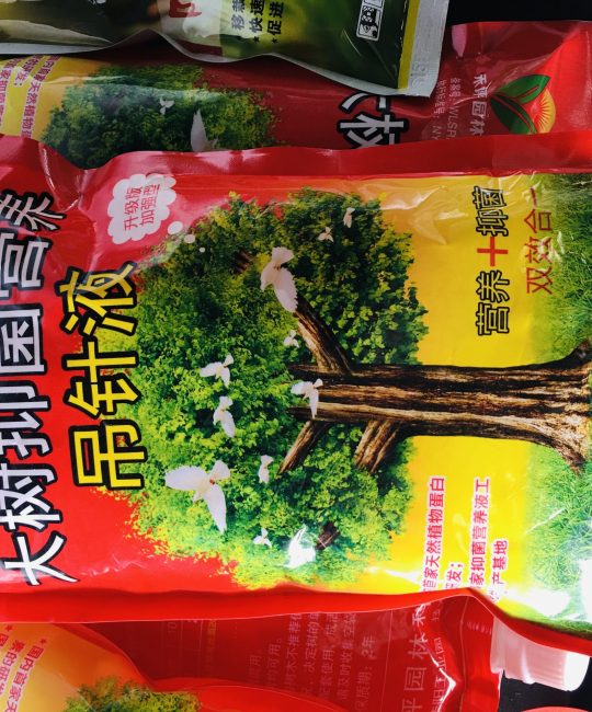 诚品苗圃景区观赏油菜花种子，颗粒饱满，适合花圃生产