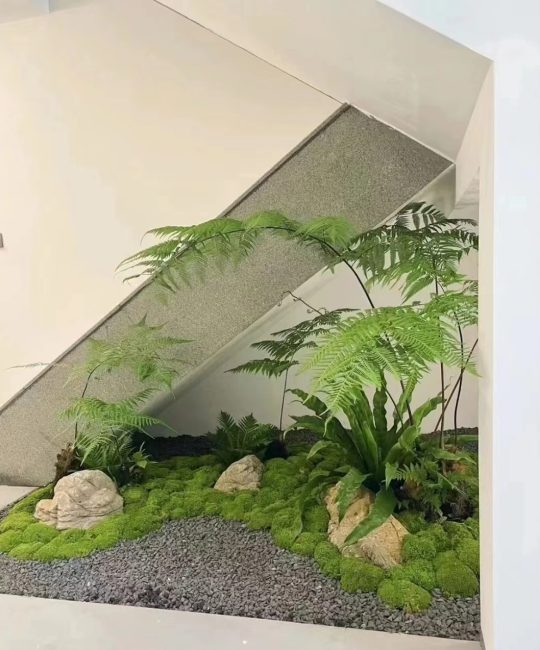 龟背竹 办公室绿植盆栽 土培净化空气 常见室内装饰