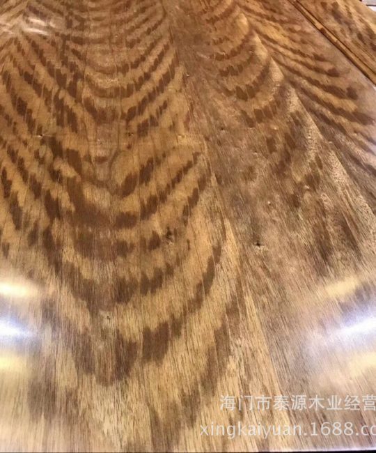 缅甸楠木 60mm小头直径 黄色优质木材 诚品苗圃