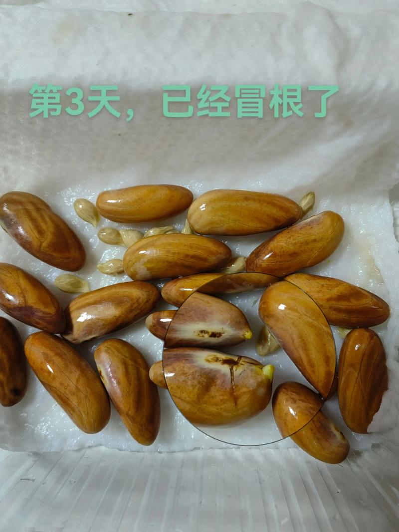 三、总结与对比验证