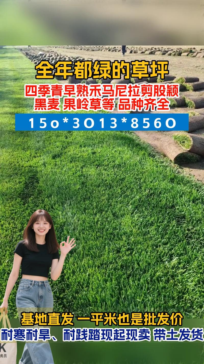 马尼拉草坪多少钱?2026年最新价格参考与影响因素全解析 五、运输:距离与车辆类型决定物流成本