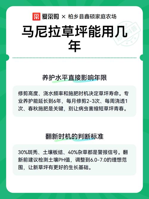 马尼拉草坪多少钱?2026年最新价格参考与影响因素全解析 咨询指南:如何获取精确报价?