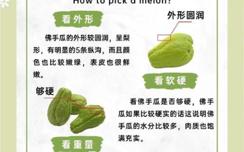 佛手瓜与佛手柑的区别及家庭种植指南