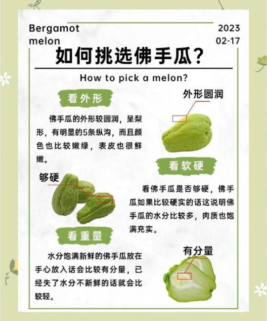 佛手瓜与佛手柑的区别及家庭种植指南