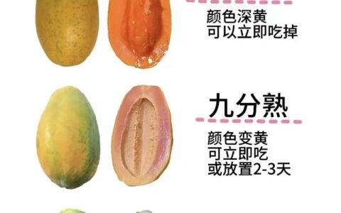 木瓜怎么算熟了？从种植到采摘，教你一眼判断最佳成熟度