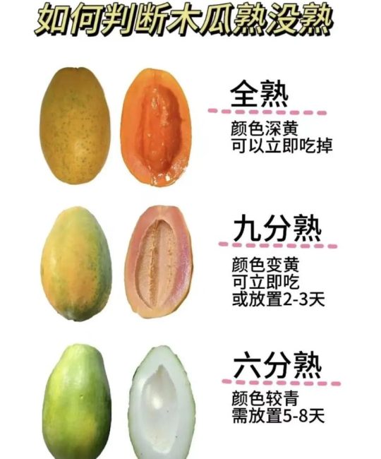 木瓜怎么算熟了？从种植到采摘，教你一眼判断最佳成熟度