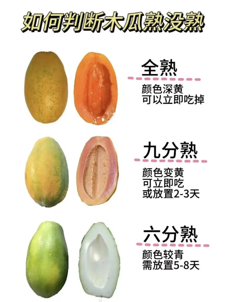 木瓜怎么算熟了?从种植到采摘,教你一眼判断最佳成熟度 一、最直观的成熟标志:表皮颜色变化
