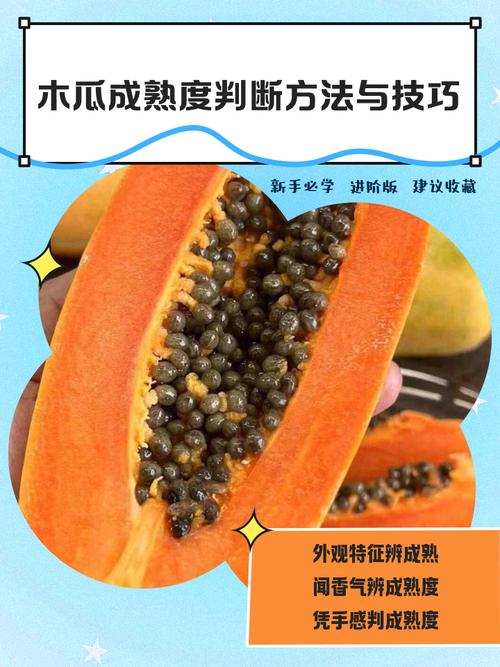 木瓜怎么算熟了?从种植到采摘,教你一眼判断最佳成熟度 六、采摘后的后熟处理