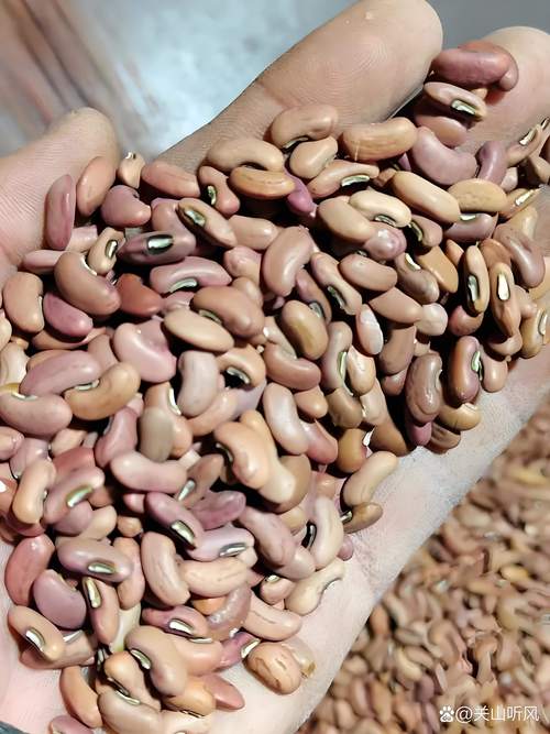 种子需要泡吗?正确浸泡让发芽率翻倍 为什么要泡种子?
