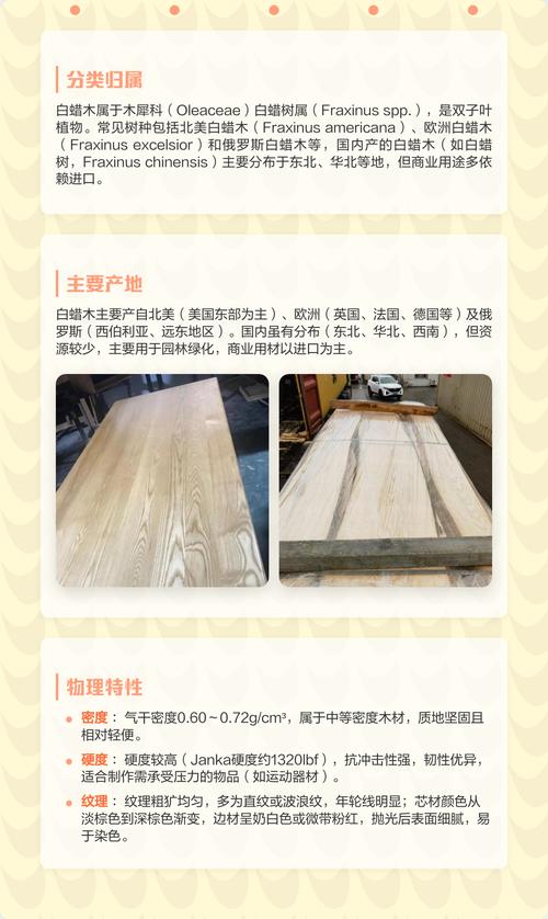 白蜡木档次全解析:从木材属性到园林应用,一文读懂其价值定位 白蜡木的档次定位与核心参数