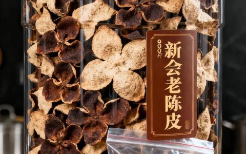 新会陈皮苗多少钱一株？2025年最新价格参考与影响因素详解