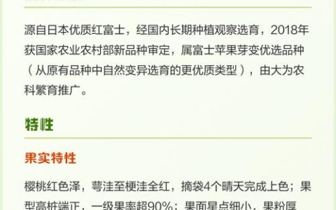 苹果怎么种植方法：从选苗到丰产的全流程技术指南
