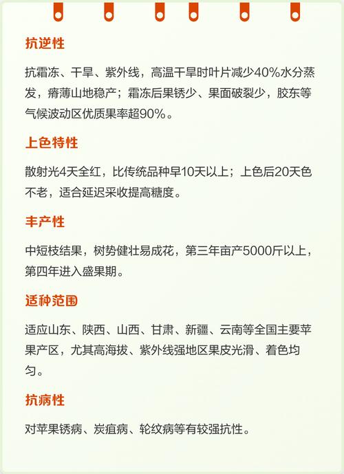 苹果怎么种植方法:从选苗到丰产的全流程技术指南 采购质量判断:一看嫁接口、二看根系、三看苗龄