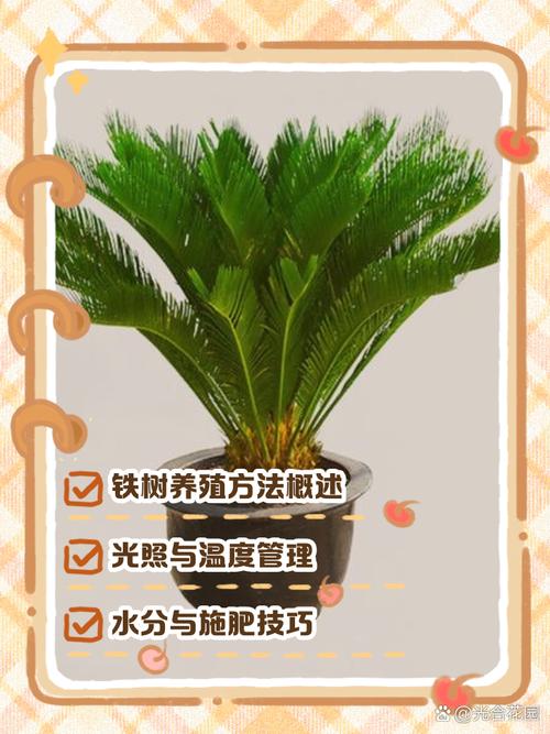 三、栽前处理：修根、消毒、晾根三步走