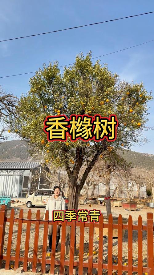 常见误区与注意事项