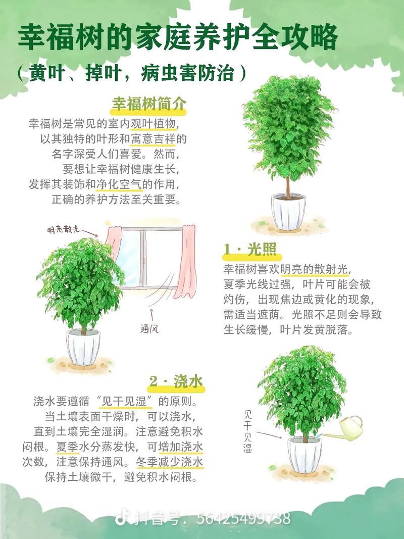 三、松柏：四季常绿，苍劲有韵